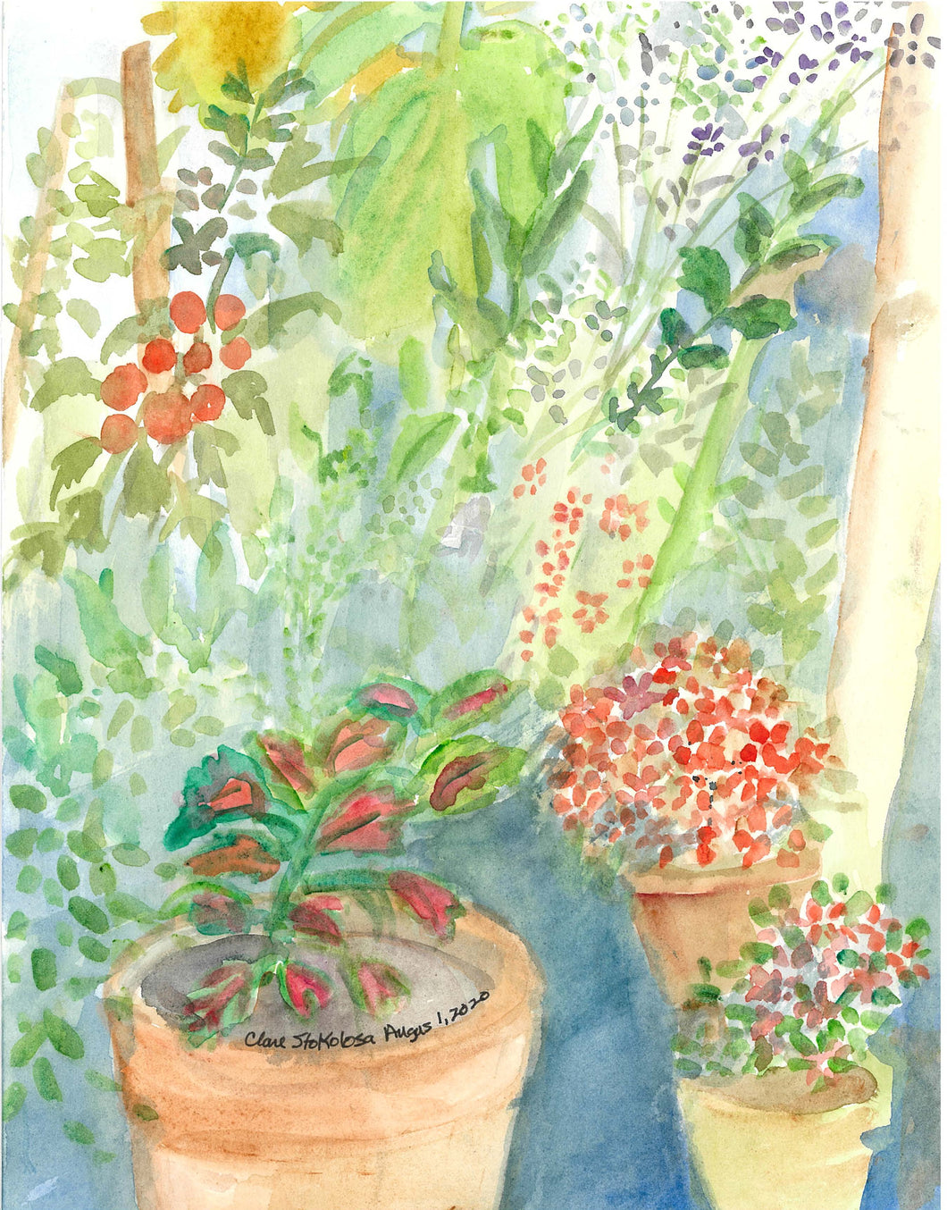 Plants in the Garden