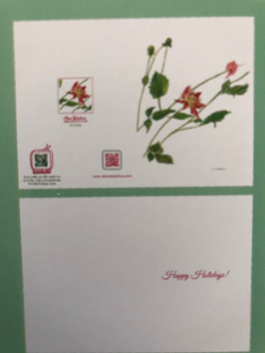Holiday Greeting card with a red flower 